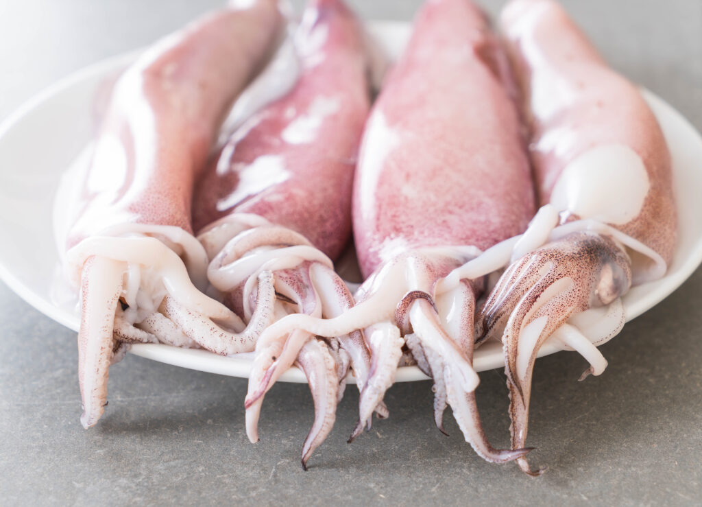 Fresh Squid on white plate